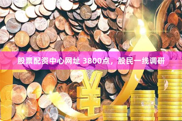 股票配资中心网址 3800点，股民一线调研