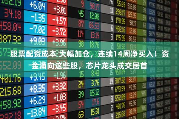 股票配资成本 大幅加仓，连续14周净买入！资金涌向这些股，芯片龙头成交居首